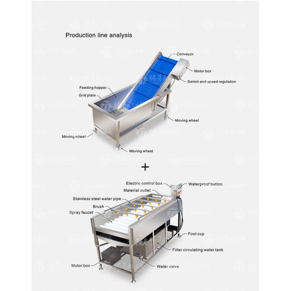 Машина 1500KG/H пузыря ролика шерстей фрукта и овоща очищая