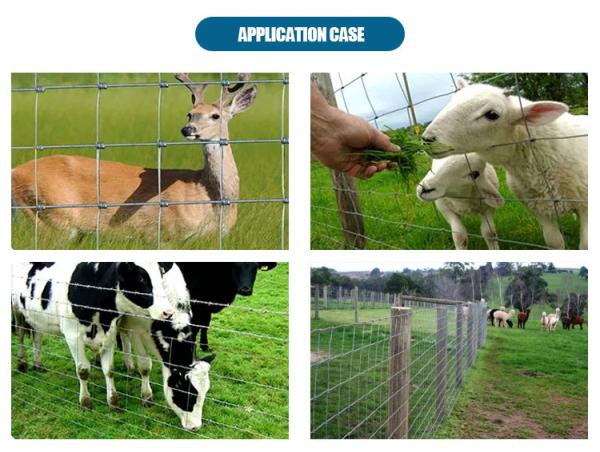 Wholesale Price Custom Heavy Duty Hot Dipped Galvanized Sheep/Cattle/Goat Yard Panels Livestock Panel