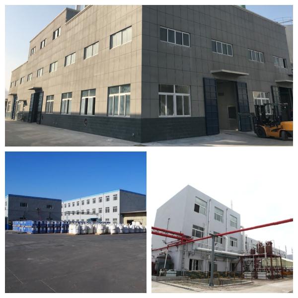Shandong Jiuchong Chemical Co., Ltd.