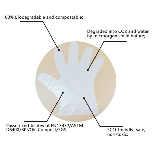 OEM cheap biodegradable kitchen disposable gloves with EN13432 BPI OK compost home ASTM D6400,eco friendly products
