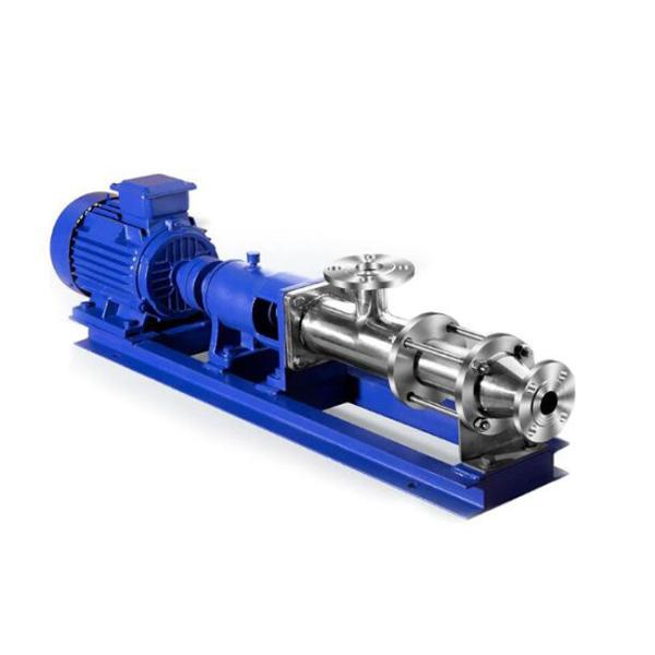 Single Screw Type Pump 960r/min Acid Corrosion Resistant 1 Year Warranty