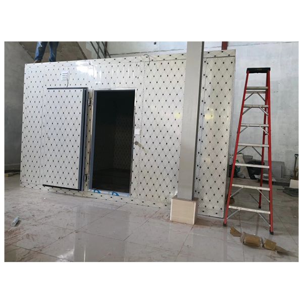 Customized Hard Polyurethane Foam Cold Storage Room with Digital Electronic Temperature Control and Auto Electrical Defrost