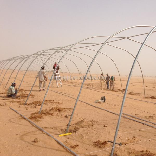 IGreen Small Single Layer Agricultural Greenhouse with Film Cover for Middle East & Gulf Countries and Desert Climate