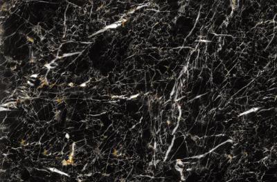 marble color prepainted Steel Coil