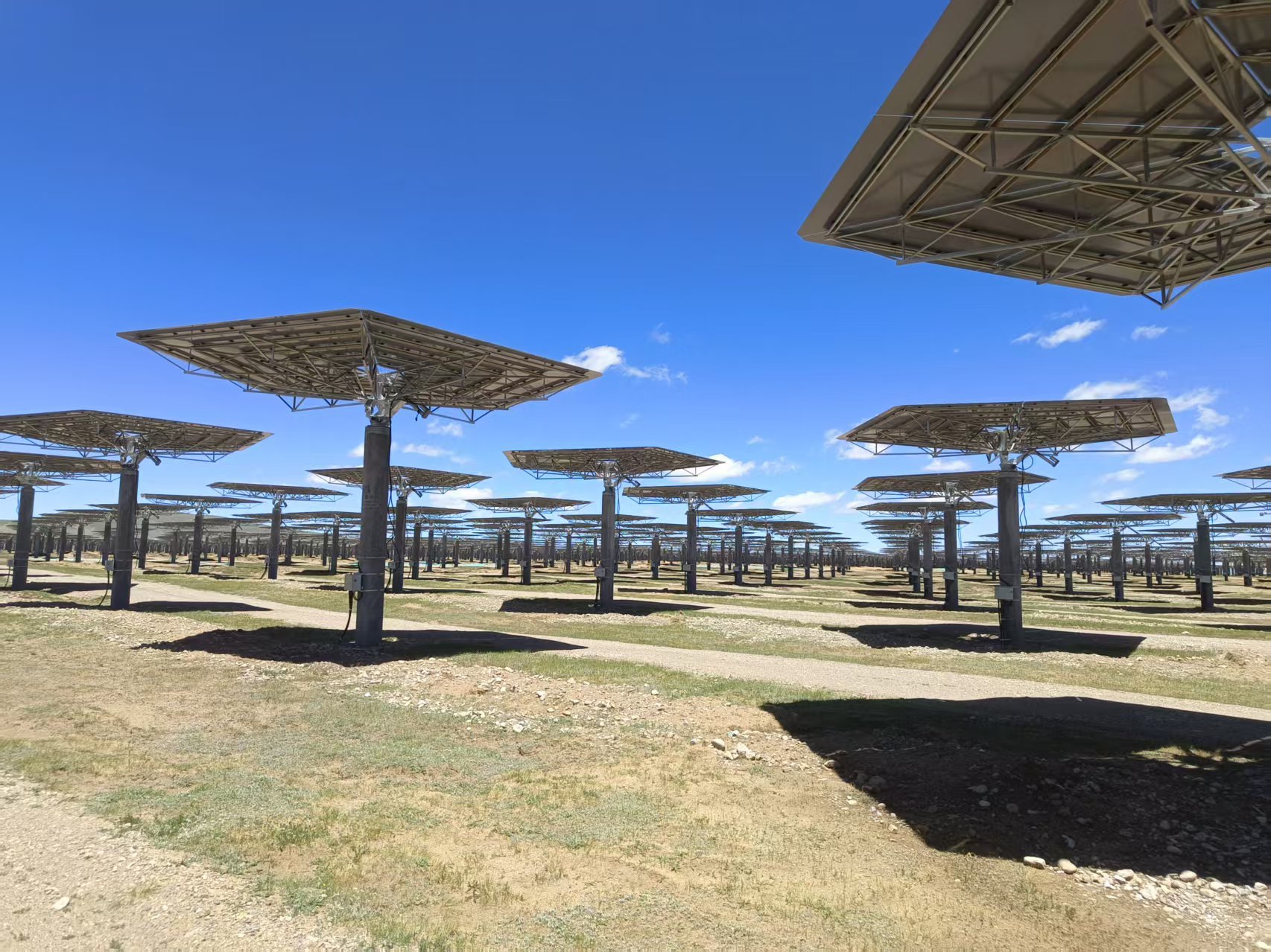 Non Standard Custom Stroke Solar Linear Actuator For Unique CSP Towers
