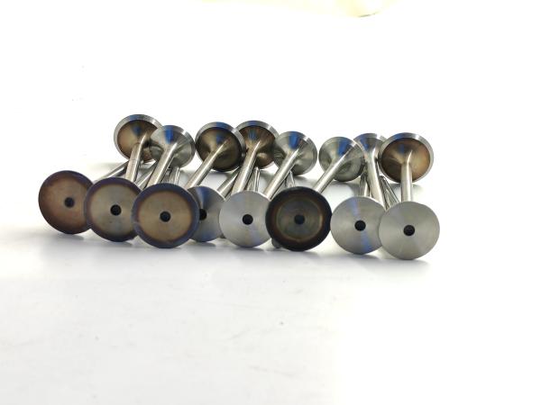 Mported Volkswagen Jetta Syncro 2013-2014 Intake And  Exhaust Valves 03C109601J