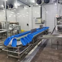 500 - 12000BPH Máquina de classificação de peso de frango para produção de matadouro