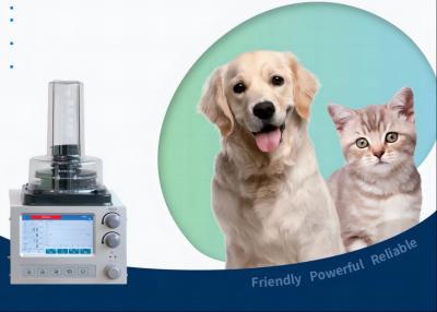 DH6B Veterinary Anesthesia Ventilator With 3 Ventilation Modes IPPV A/C SIMV
