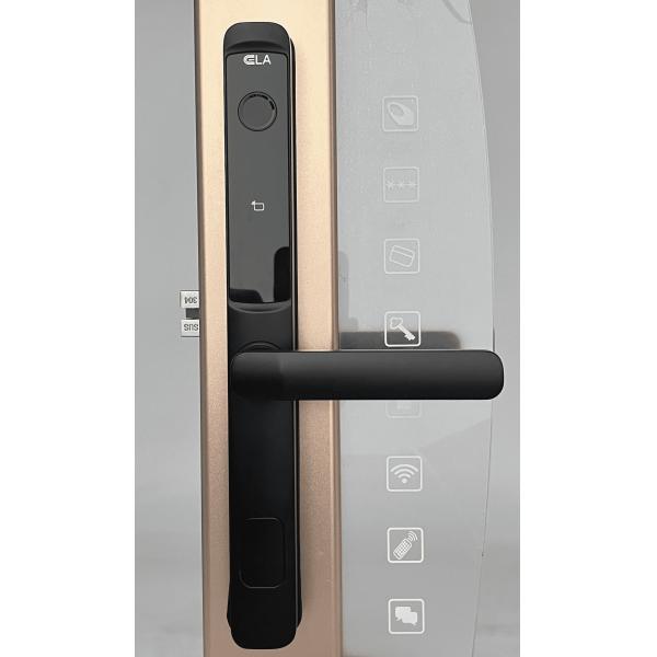 Smart Door Lock  keyless with hotel system lock electronic black