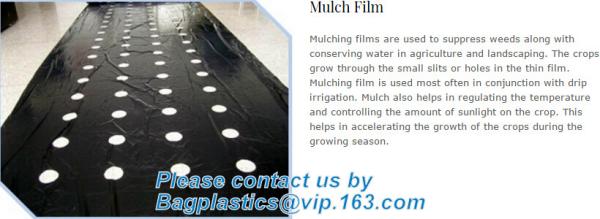 Weed Control Mulch Film, Agriculture Vegetable Black PE Films, 5 Holes Greenhouse Perforated Film