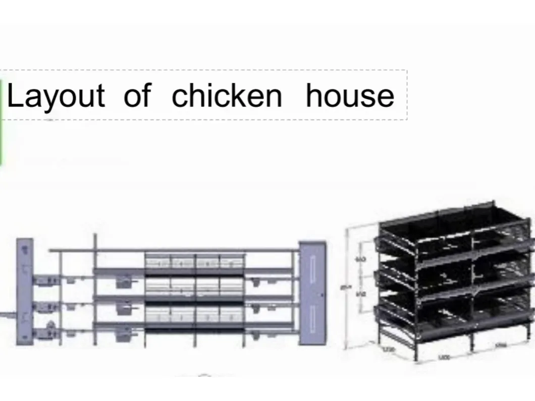 H Type Layer Cage System High Space Utilization Chicken Laying Cage For Farming