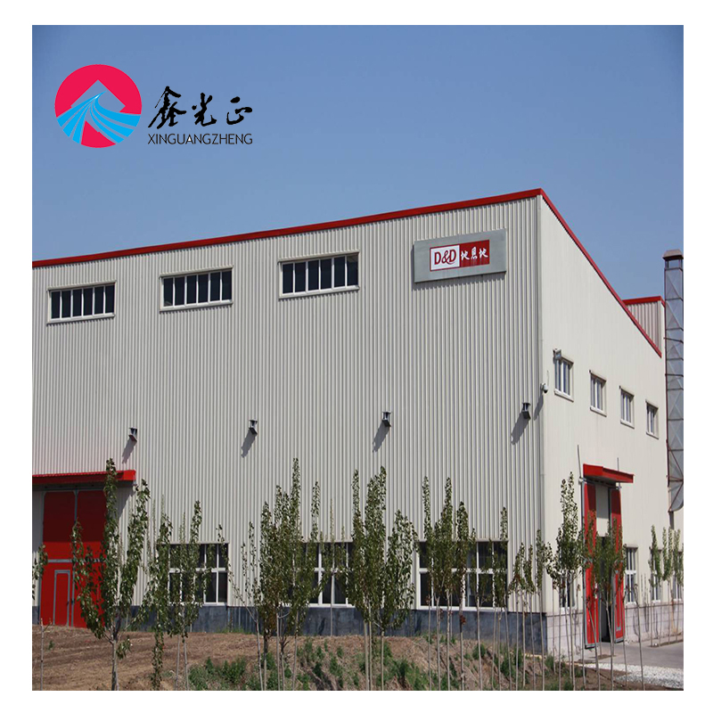 Large Span Space Galvanized Sheet Metal Frame Steel Structure Building