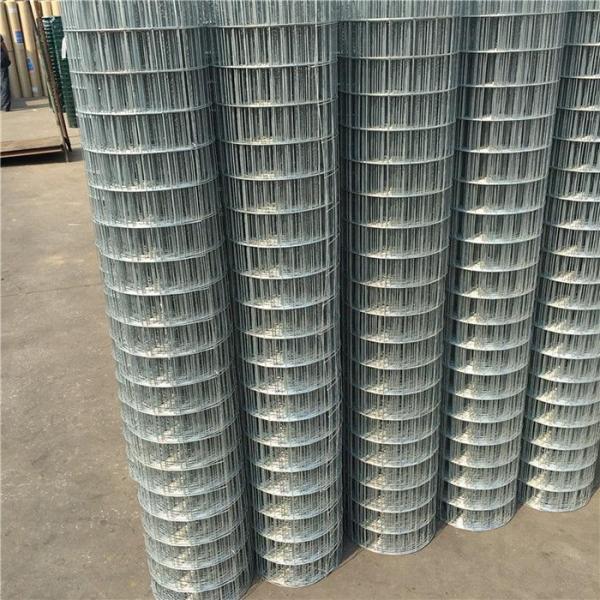 Square Hot Dipped Galvanized 0.5mm 4x4 Welded Wire Mesh