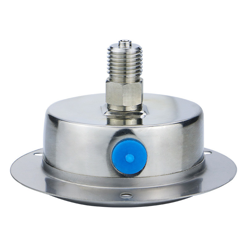 60mm Back Connection Pressure Gauge with Flange 250bar 304ss Liquid-Filled Manometer