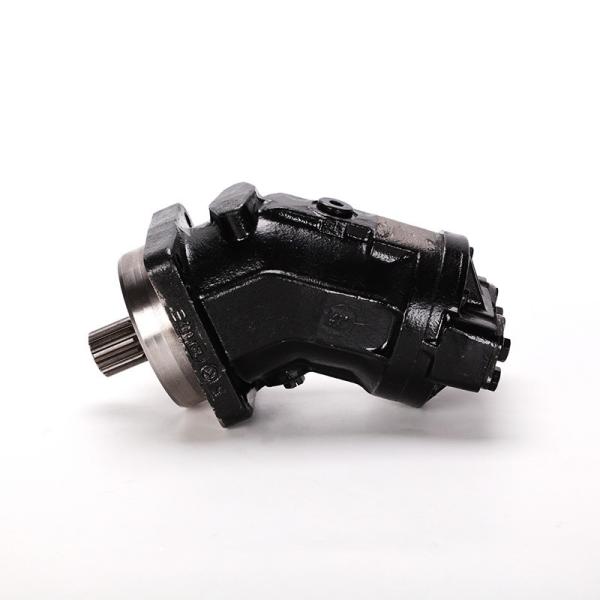 A2fo Hydraulic Motor for A2fo12 A2fo16 A2fo23 A2fo32 A2fo56 A2fo63 A2fo80 A2fo107 A2fo125 A2fo160 A2fo200