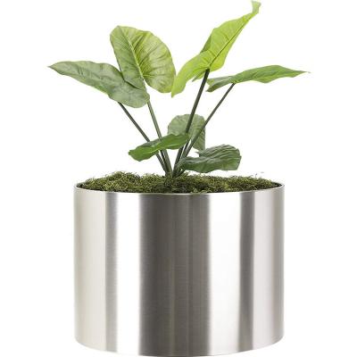 Diâmetro de aço inoxidável lustrado decorativo 300-600mm dos potenciômetros de flor do círculo