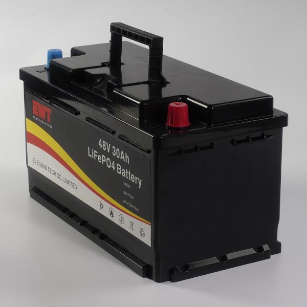 Wide Range Voltage 48V Lithium Iron Phosphate Battery for Heavy-Duty Applications
