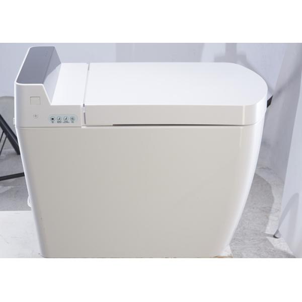 Electric Intelligent One Piece Toilet Bathroom Tankless Smart Toilet
