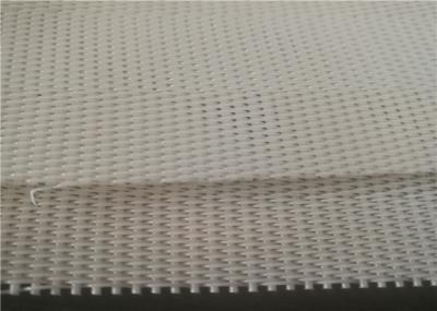 A tela da tela do poliéster da fábrica ISO9001 do alimento para a imprensa da correia enlameia a secagem