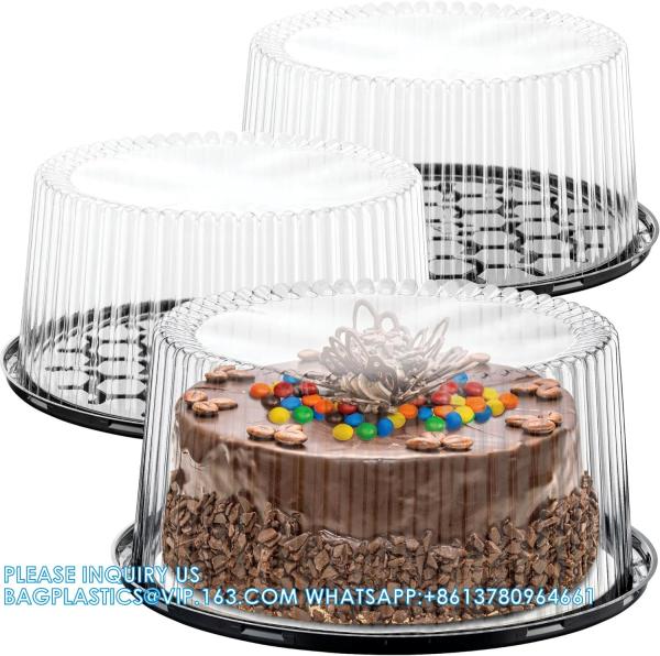 10-11 Plastic Disposable Cake Containers Carriers With Dome Lids And Cake Boards Cake Carriers For Transport