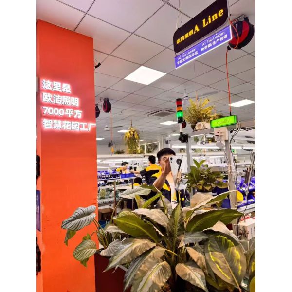 Shenzhen Oujie Lighting Technology Co., Ltd.