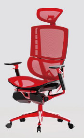 Exécutif respirable pliable Mesh Chair With Headrest de Mesh Office Chair