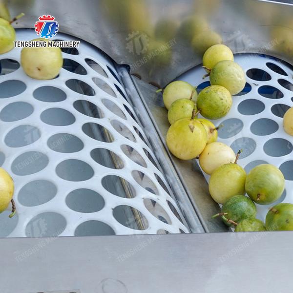 Apple Passion Fruit and vegetable sorting machine tangerine passion fruit avocado cherry Mango pear banana mangosteen kiwi fruit Fruit Orange Vegetable Lettuce Cabbage Celery kale Grading
