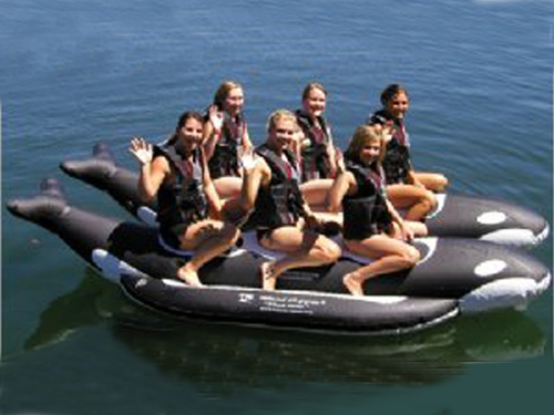 High Quality Large Inflatable Whale Boat For Many Persons , Inflatable Water Games
