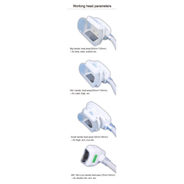 Professional Slimming Machine Cryolipolysis Coolsculptor Machine For Fat Weight Reduction 2-6 Handles for Option