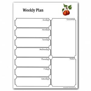 Magnetic Planning Board