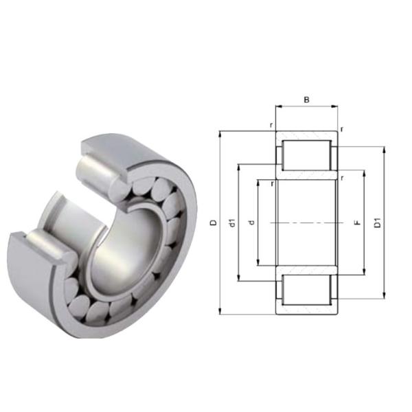 SL19-2320C3 Single Row Roller Bearing Full Complement NJG 2306 VHC3 30X72X27mm