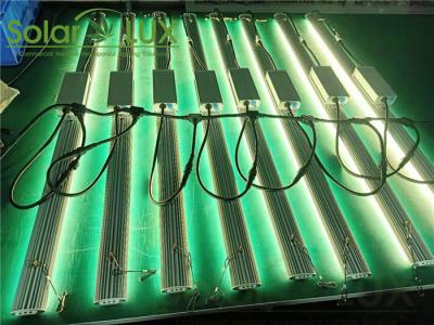 A horticultura completa do espectro 100w G1 UL8800 conduzida cresce luzes