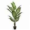 Artificial Golden Dieffenbachia Plant 43 Inch Tall Fake Tropical Lifelike Tree in Pot Silk Faux Dark Green Plant