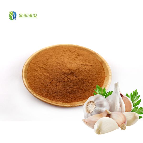 Garlic Extract Powder 10:1 Food Grade Garlic Extract 5% Allicin Powder