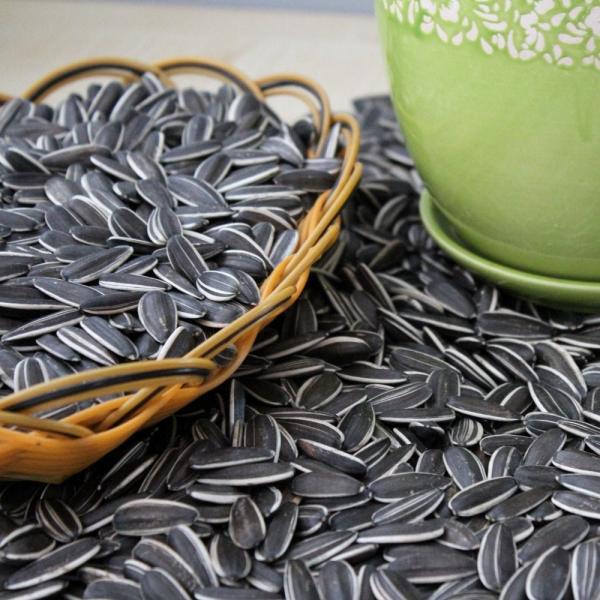 Hot sale 361/363/5009 ect. organic sunflower seeds with cheap price in 2023 from factories in China