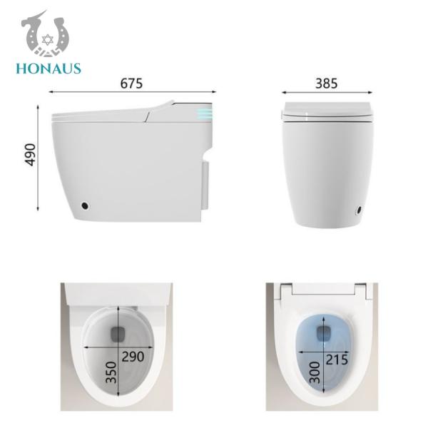 Luxury Smart Intelligent Toilet Ceramic Body Built - In Tank Multi Functions Available