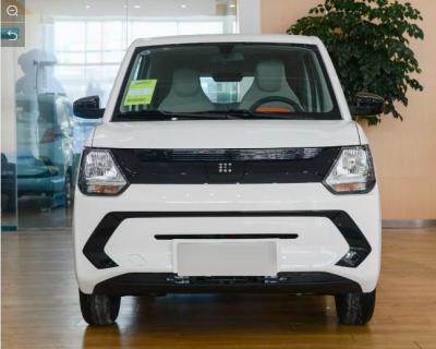 CLTC 180km Mini Electric SUV FENGON New Energy Dongfeng EV Cars