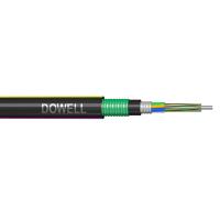 Cable de red de fibra óptica de color Cable de fibra óptica de núcleo 48 GYTA53 Con una cubierta exterior PE