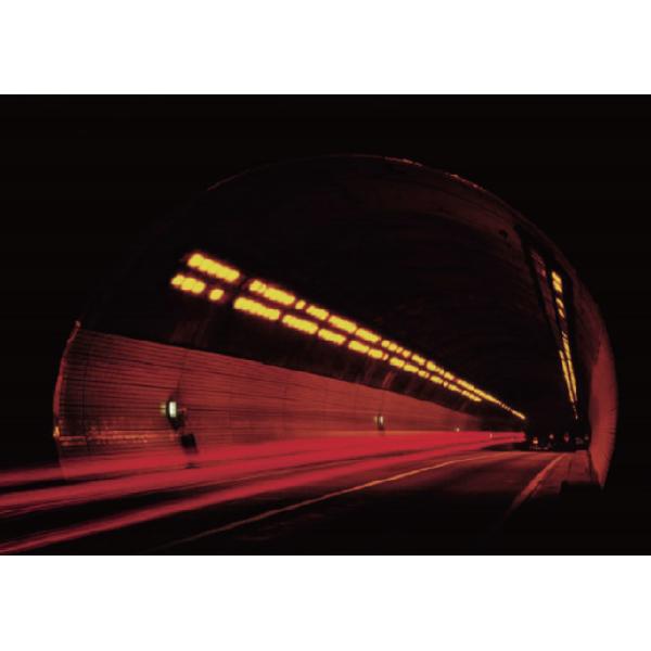 Sanan LED Chips Commercial Flood Lights , Brightest Outdoor Flood Lights