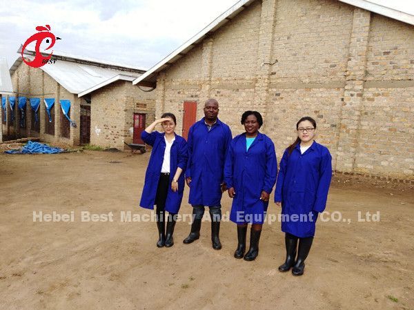 Коммерчески система 2.0m*2.0m*1.45m клетки батареи слоя цыпленка в звезде Нигерии