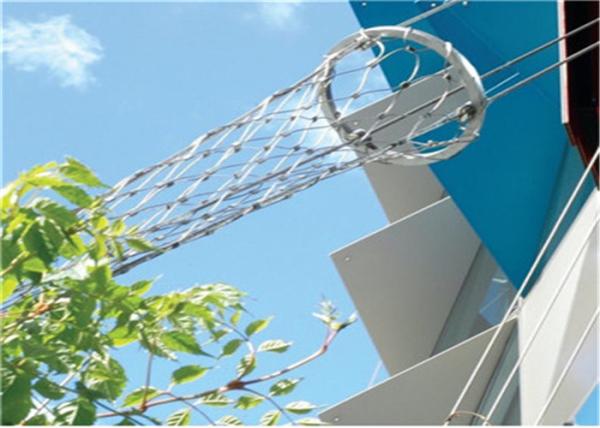 SS 316 Green Plant Climbing Trellis Wall Mesh / 1.5mm Stainless Steel Wire Rope Mesh 100x100mm