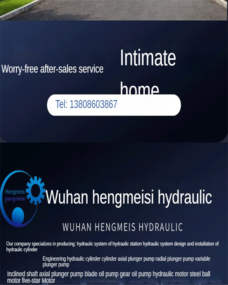 Parker Plunger Pump P14P3L1C8A2B03 P14P3L1C8A2B04 P14P3L1C8A4A00 P14P3L1C8A4A01 P14P3L1C8A4A03 P14P3L1C8A4B00 P14P3L1C8C2B00