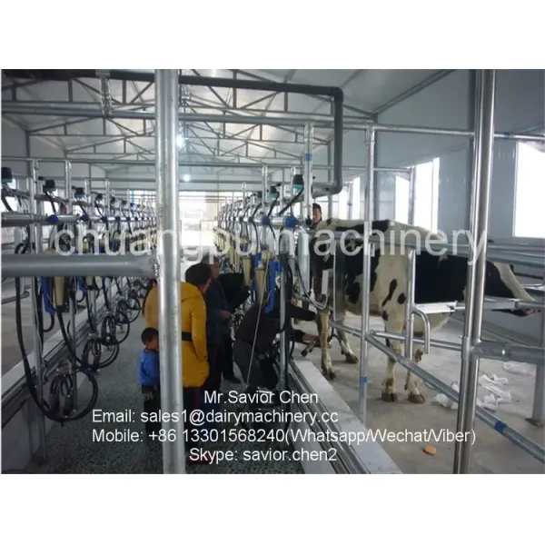 Automatic Milking System with Herringbone Structure and Waikato Milk Meter for Dairy Cows - CE, ISO, SGS, FDA Certified