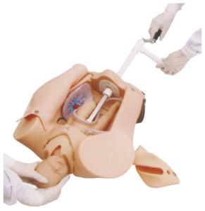 Environmental Friendly maternal simulator with Delivery Mechanical Parts