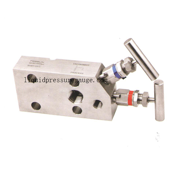 2 место коллектора перепада давления PTFE Psi 200C клапана 6000