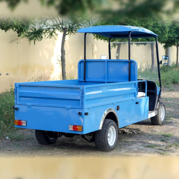 2023 Hot Sale EV Golf Cart Low Speed Electric Aetric Cart 100AH 60V Golf Cart Bus com traseira