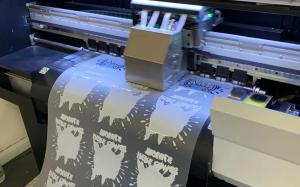 Dongguan Meiyue Clothing Co., Ltd.