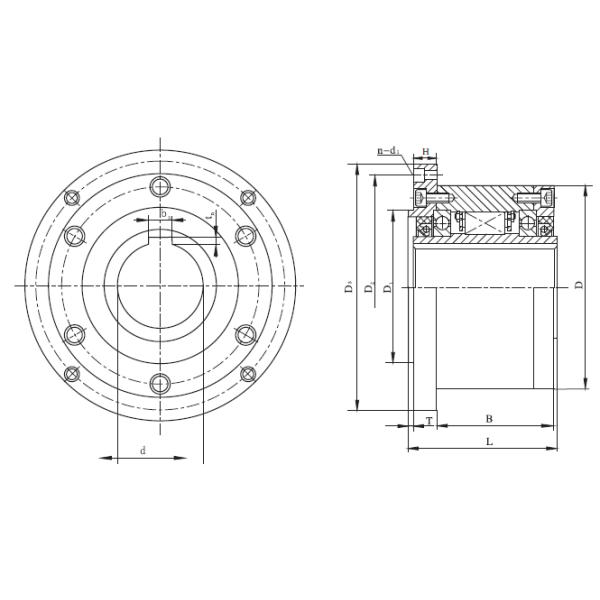Mechanical Length 160mm Sprag Overrunning Clutch With Keyway