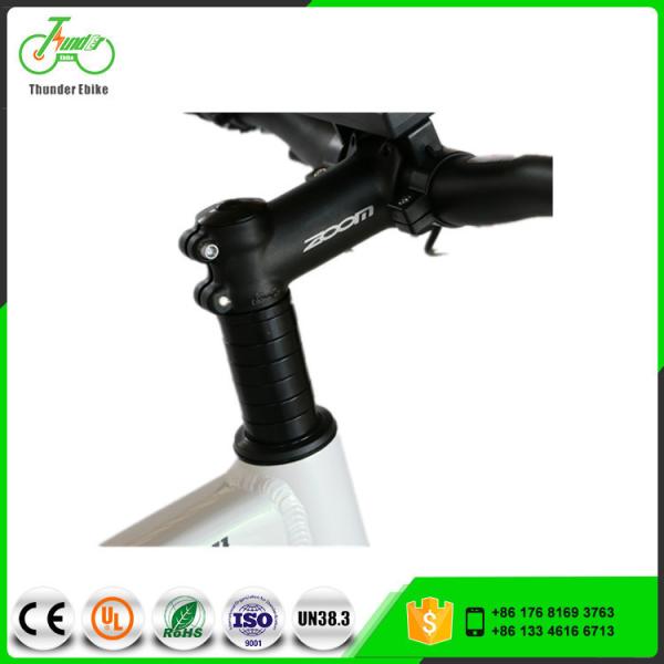 36V Voltage Brushless Motor Chainless Electric Bike 2019 with Shaft Drive and Voltage