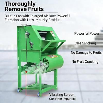 Automatic Peanut Picker: Dual-Stage Cleaning High-Strength Iron Construction